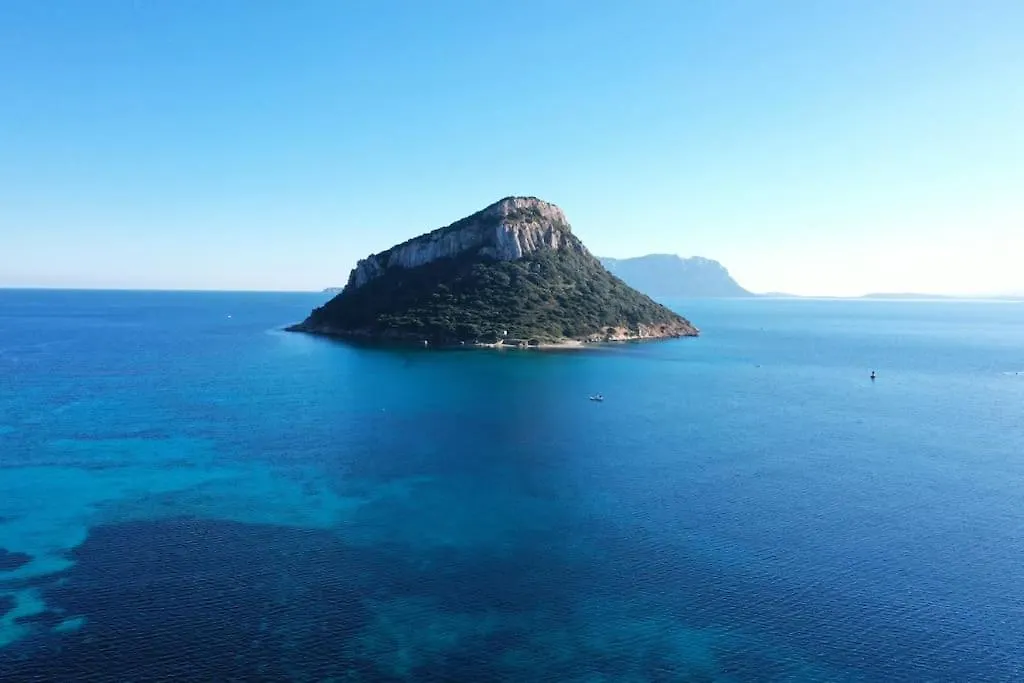 Seaside Terrace-Vista Sul Mare-Free Parking Apartment Porto Rotondo 0*,